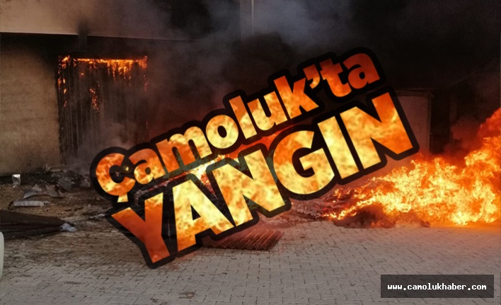 Çamoluk'ta Korkutan Yangın