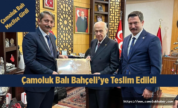 Çamoluk Balı Bahçeli'ye Ulaştı