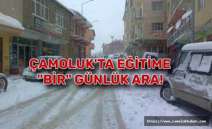 Çamoluk' ta Eğitime Bir Günlük Ara!