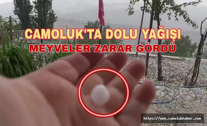 Dolu Yağışı Hayatı Olumsuz Etkiledi!