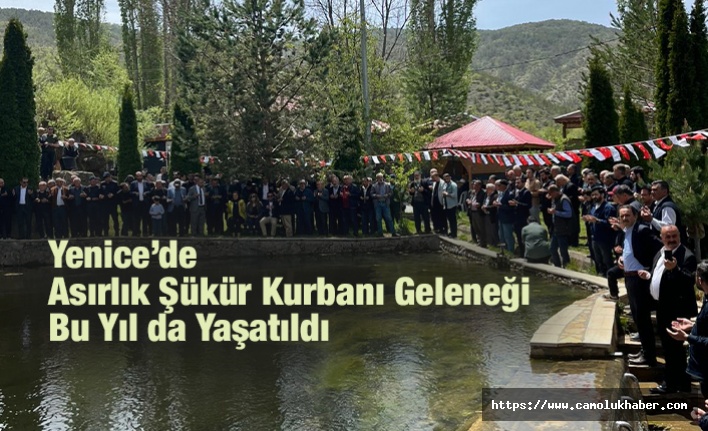 YENİCE'DE ASIRLIK ŞÜKÜR KURBANI GELENEĞİ BU YIL DA YAŞATILDI