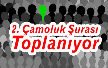 2. Çamoluk Şurası Toplanacak