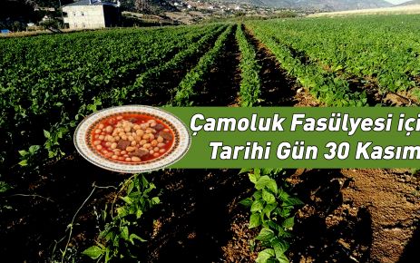 30 Kasım'da Çamoluk Fasülyesi Tescil Belgesini Alacak