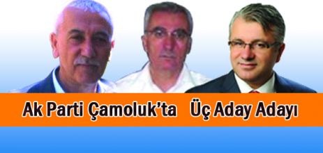 Ak Parti Çamoluk’ta   Üç Aday Adayı