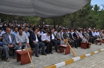 alucra ekin festivaline ilgi yoğundu