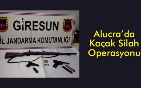 Alucra'da Kaçak Silah Operasyonu