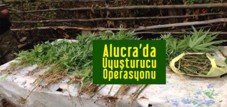 Alucra'da Uyuşturucu Operasyonu