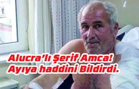 Alucra’lı Şerif Amca!  Ayıya Haddini Bildirdi.