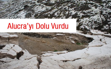 Alucra'yı Dolu Vurdu