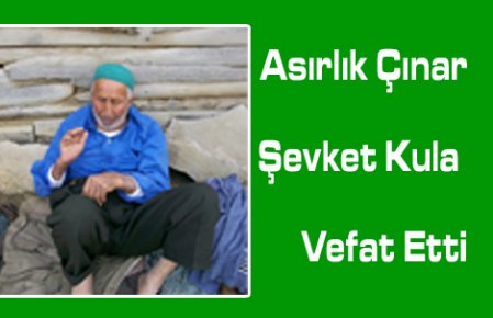 Asırlık Çınar Vefat Etti