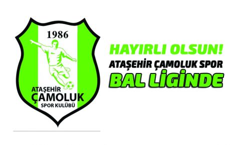 Ataşehir Çamoluk Spor Bal Liginde