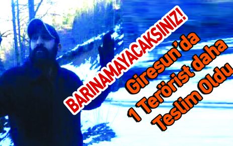 Barınamayacaksınız! Giresun'da bir terörist daha teslim oldu