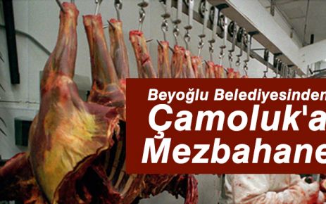 Beyoğlu Belediyesinden Çamoluk'a Mezbahane