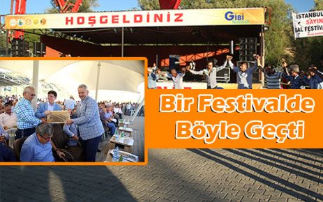 Bir Festival de Böyle Geçti