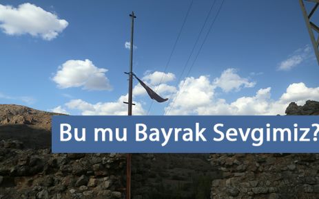 Bu mu Bayrak Sevgimiz?