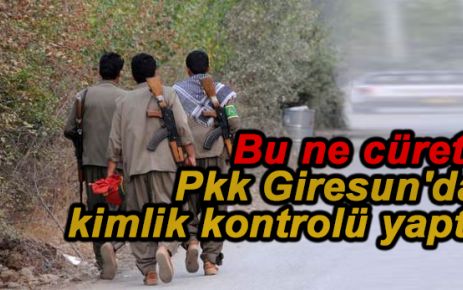 Bu Ne Cüret! Pkk Giresun'da Yol Kesip Kimlik Kontrolü Yaptı