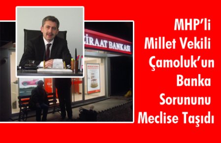 Çamoluk Bankası Mecliste