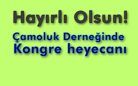 Çamoluk Derneğinde kongre heyecanı