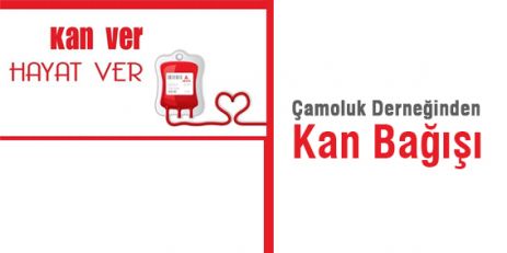 Çamoluk Derneğinden kan Bağışı