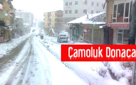 Çamoluk Donacak!!!