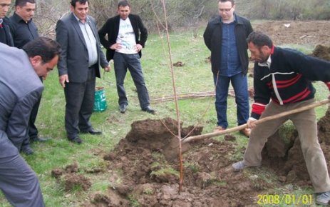 Çamoluk Kirazı Geliyor