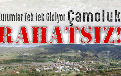 Çamoluk Rahatsız!