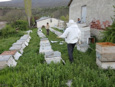 Çamoluk ta 15 Kişiye Arıcılık Desteği