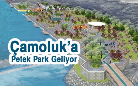 Çamoluk'a Petek park