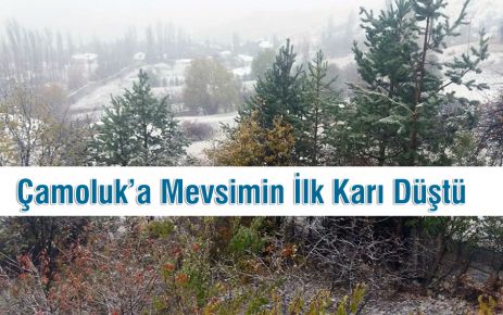 Çamoluk'a yılın ilk karı düştü