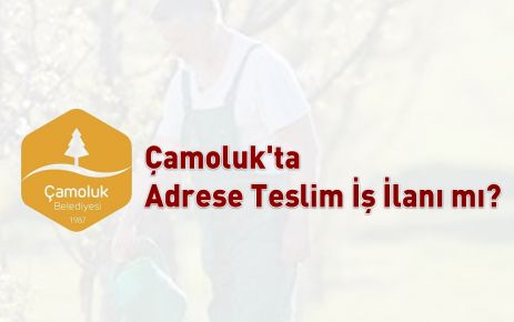 Çamoluk'ta Adrese Teslim İş İlanı mı?