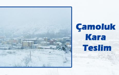  Çamoluk’ta Ağır Kış şartları devam ediyor.