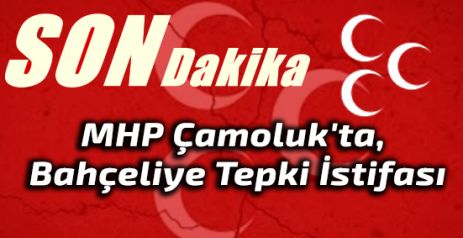 Çamoluk'ta, Bahçeliye Tepki İstifası