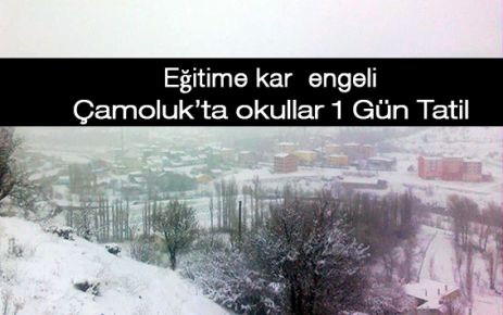 Çamoluk'ta eğitime kar engeli,okullar 1 gün tatil