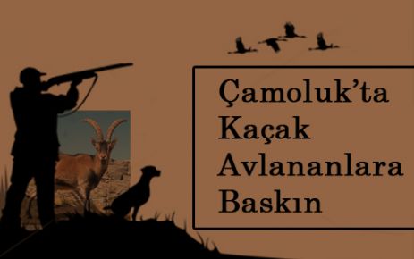  Çamoluk’ta Kacak Avcıların malzemelerine el konuldu