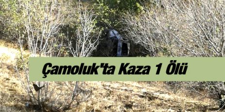 Çamoluk'ta Kaza 1 Ölü