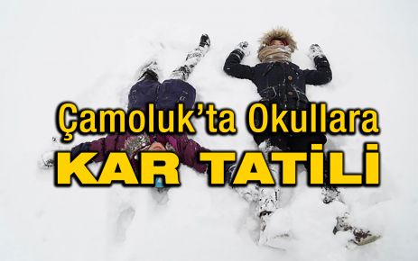 Çamoluk'ta Okullara kar tatili