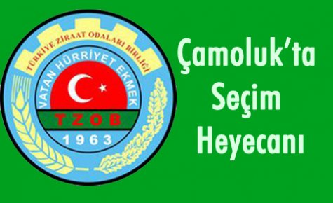 Çamoluk'ta Seçim Heyecanı