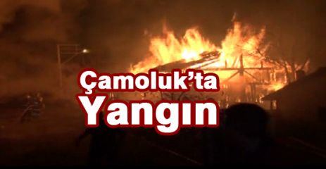 Çamoluk'ta Yangın