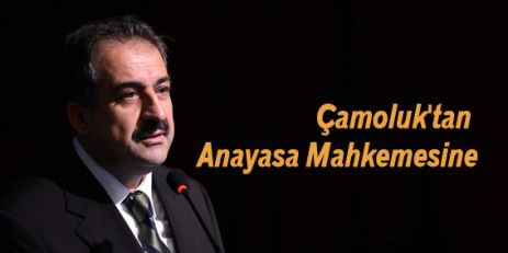 Çamoluk'tan Anayasa Mahkemesine