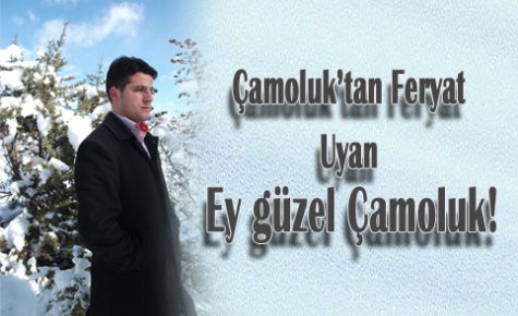 Çamoluk'tan Feryad