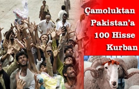 Çamoluktan Pakistan'a 100 Kurban