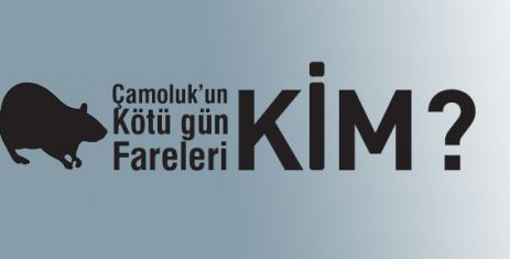 Çamoluk'un Kötü  gün Fareleri KİM?