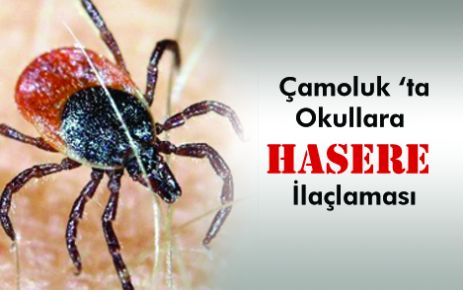 Çamouk'ta okullar ilaçlandı