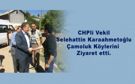 CHP'li  Vekil, Çamoluk Köylerini ziyaret etti.