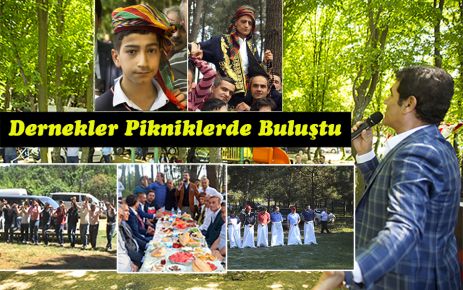 Dernekler Pikniklerde buluştu.