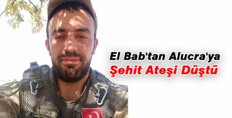 El Bab'tan Alucra'ya Şehit Ateşi Düştü