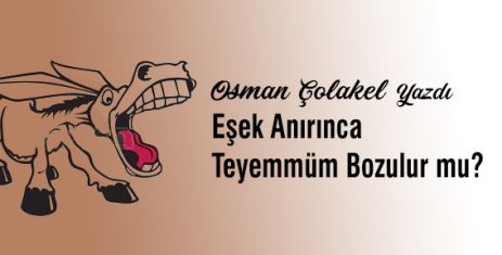 Eşek Anırınca Teyemmüm Bozulur mu? 