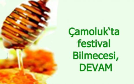 Festival Bilmecesi; Devam