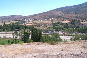 Festival'in Ardından