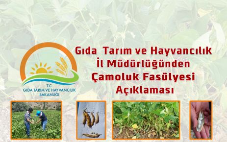 Gıda  Tarım ve Hayvancılık il Müdürlüğünden Çamoluk Fasülyesi Açıklaması